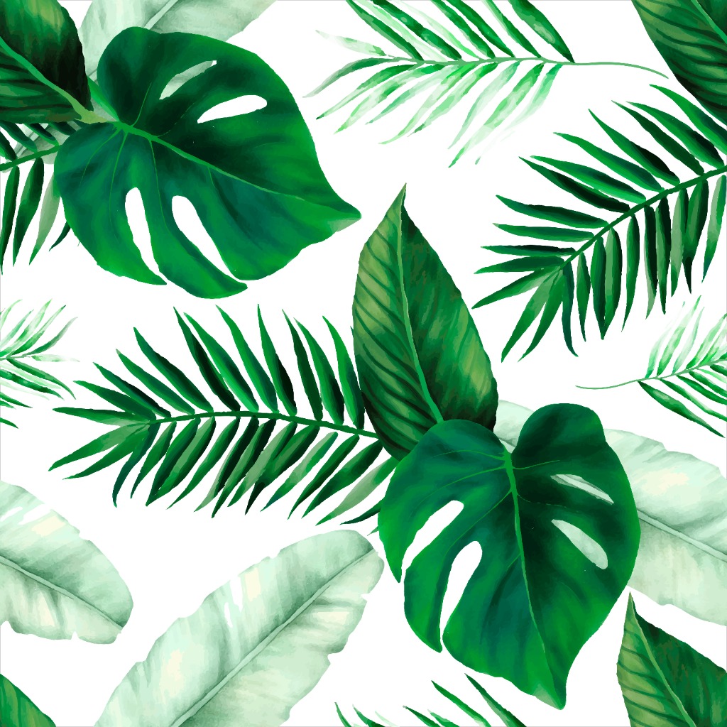Lush tropical botanical palm leaves wallpaper for home decor - Expert Wallpaper Dubai